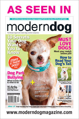 Modern Dog Magazine