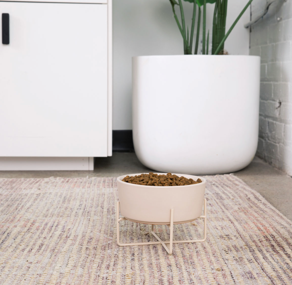 Simple Solid Bowl + Dog Bowl Stand