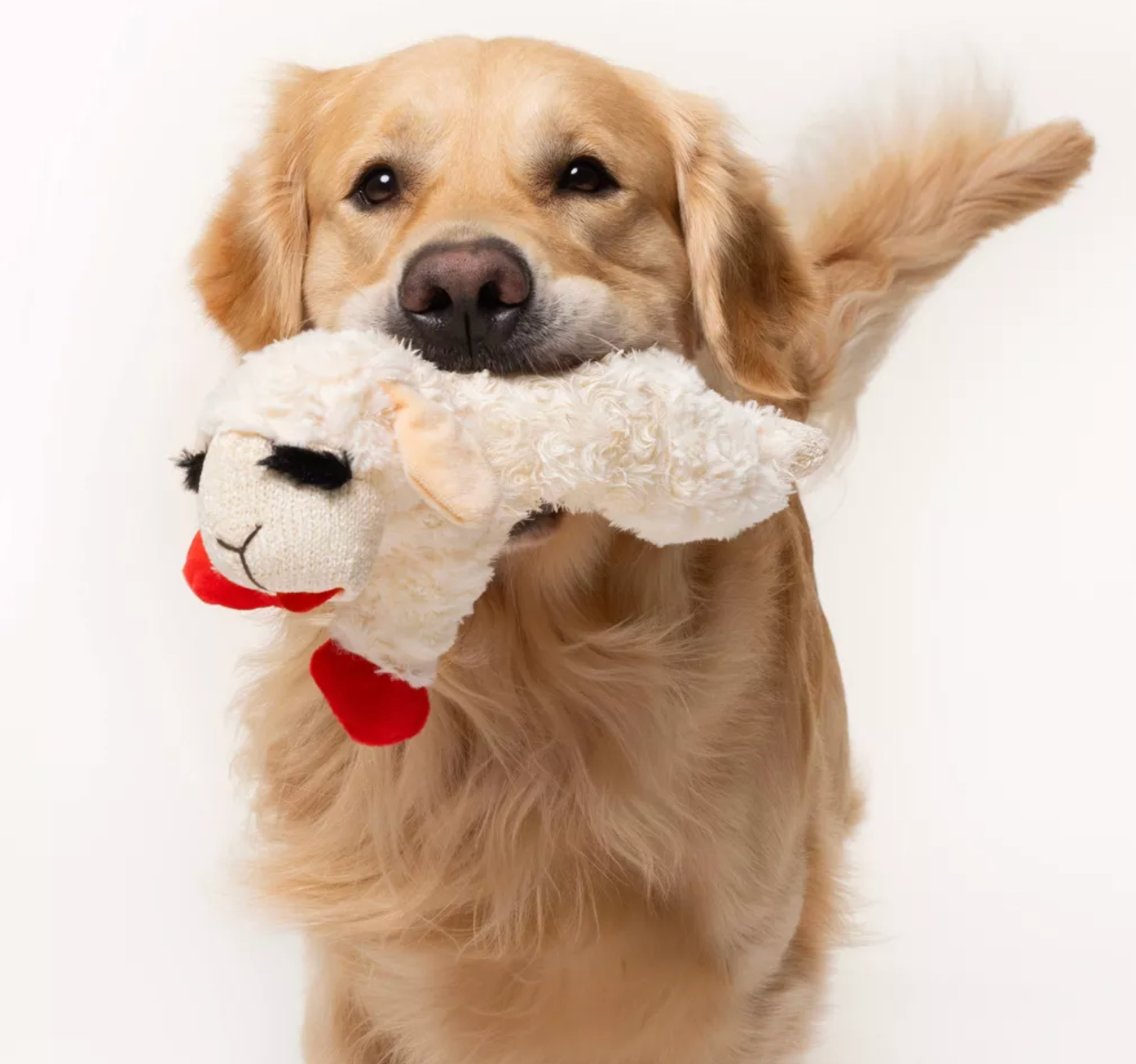 Lambchop Plush Dog Toy