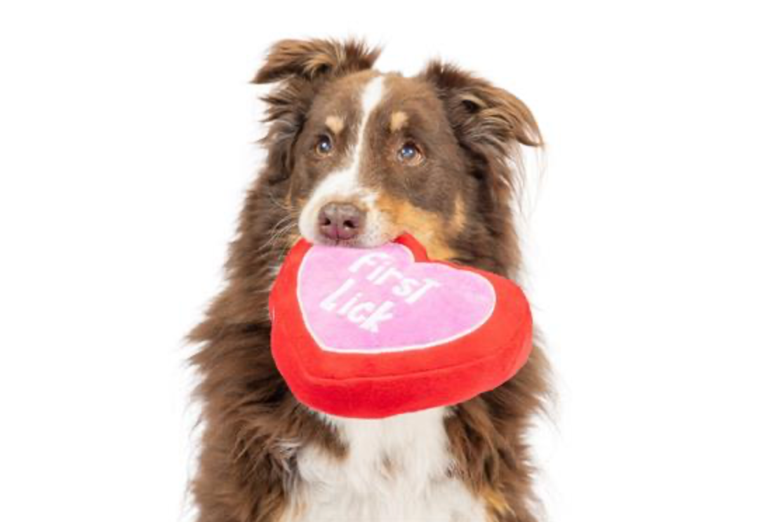 I Ruff You Dog Toy