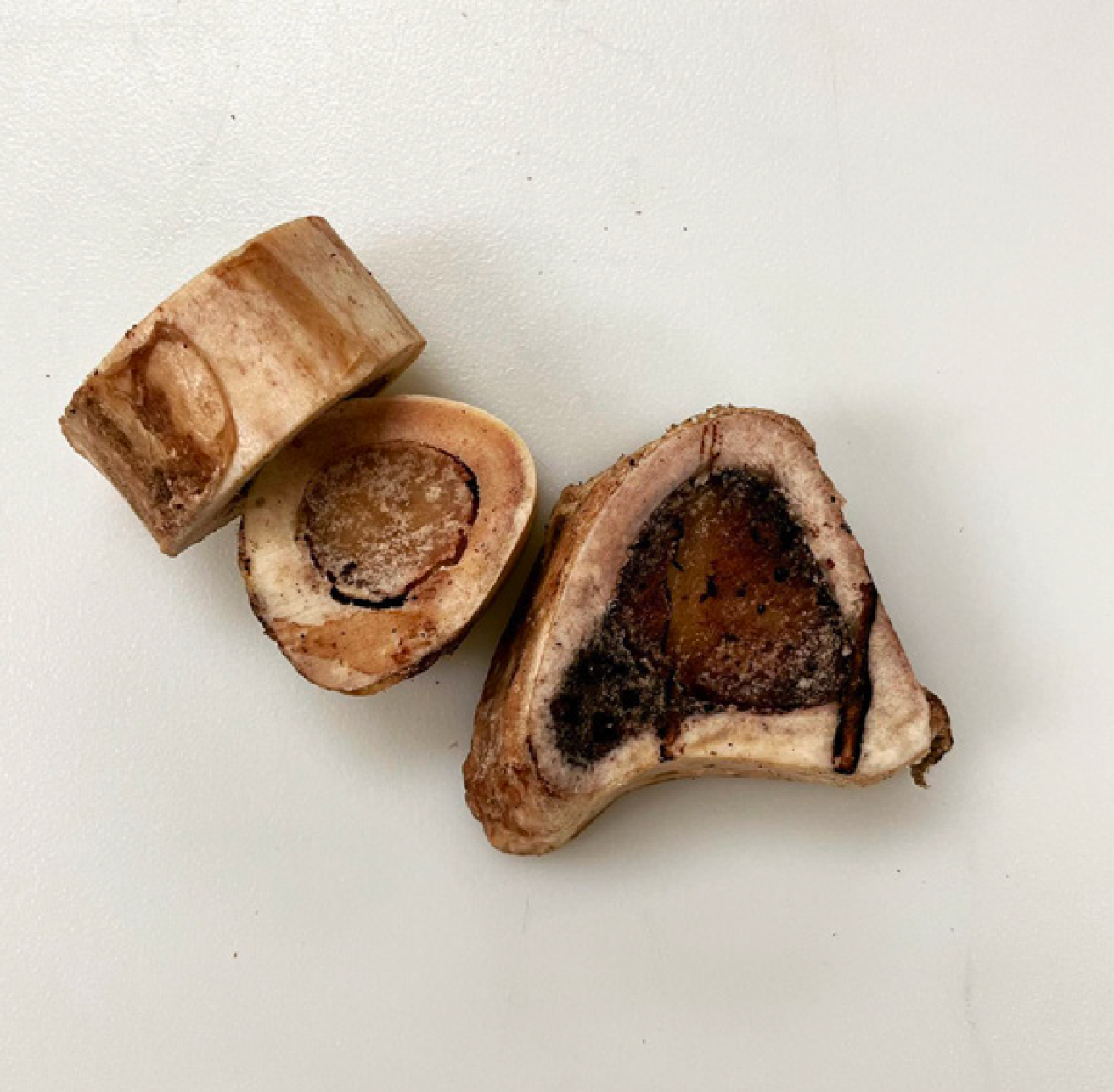 1" Mini Marrow Bone