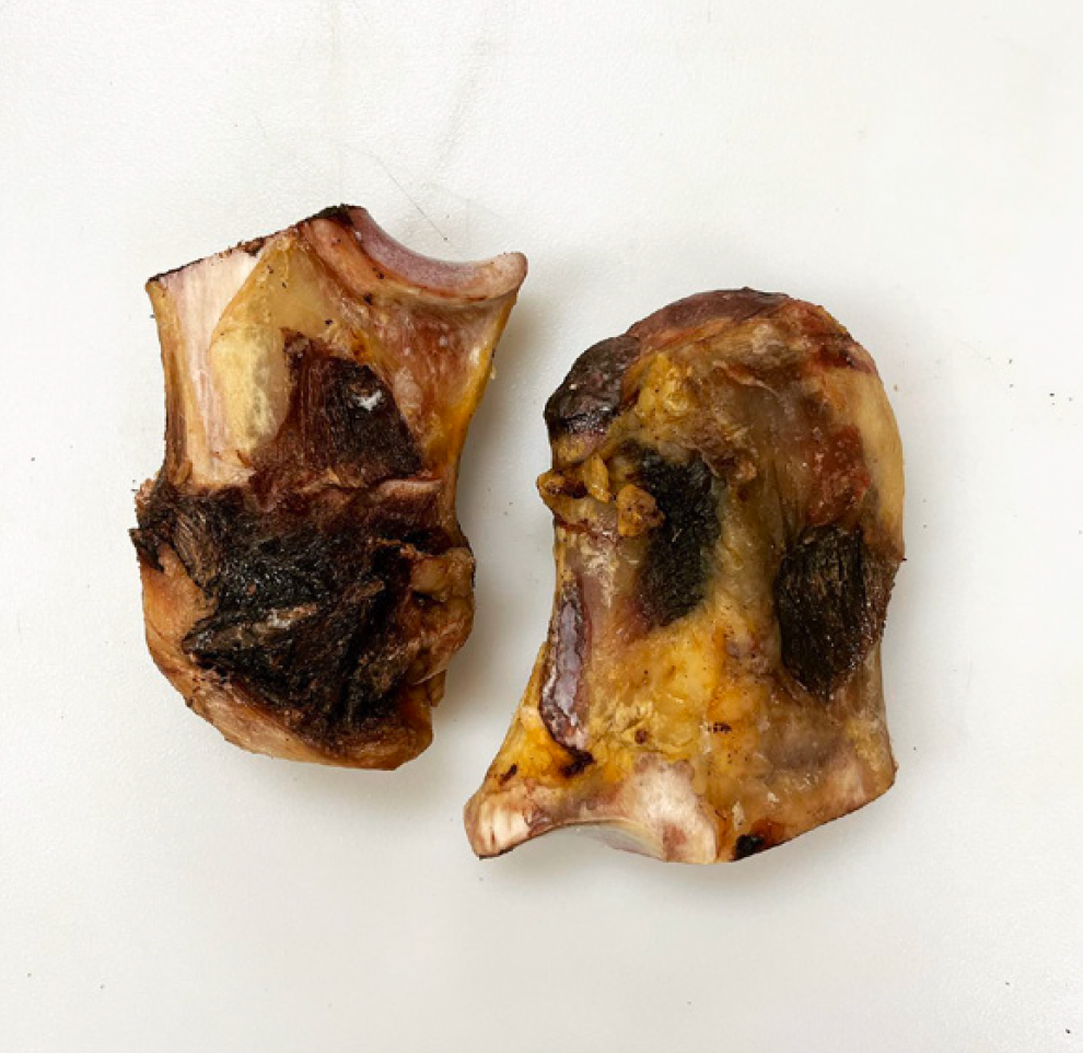 Knee Plate Bone