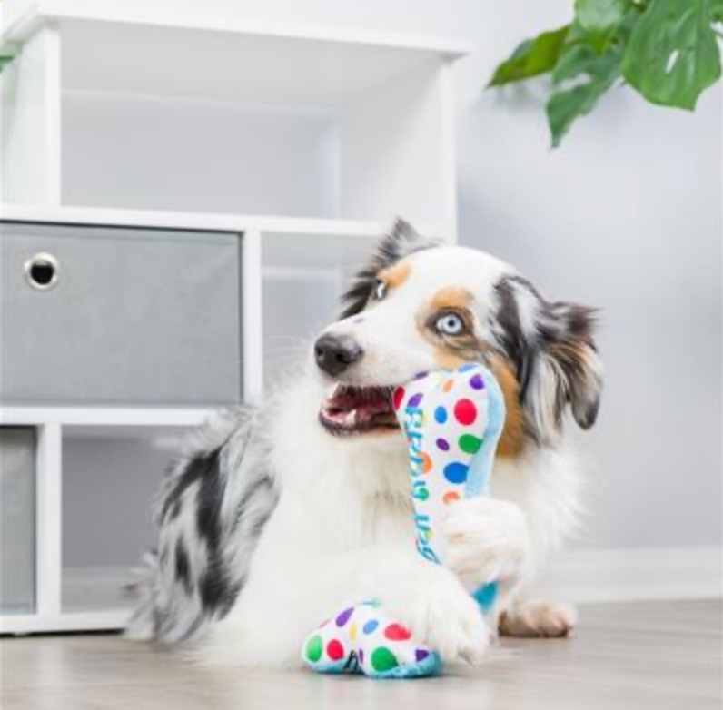 Confetti Birthday Bone Plush Dog Toy