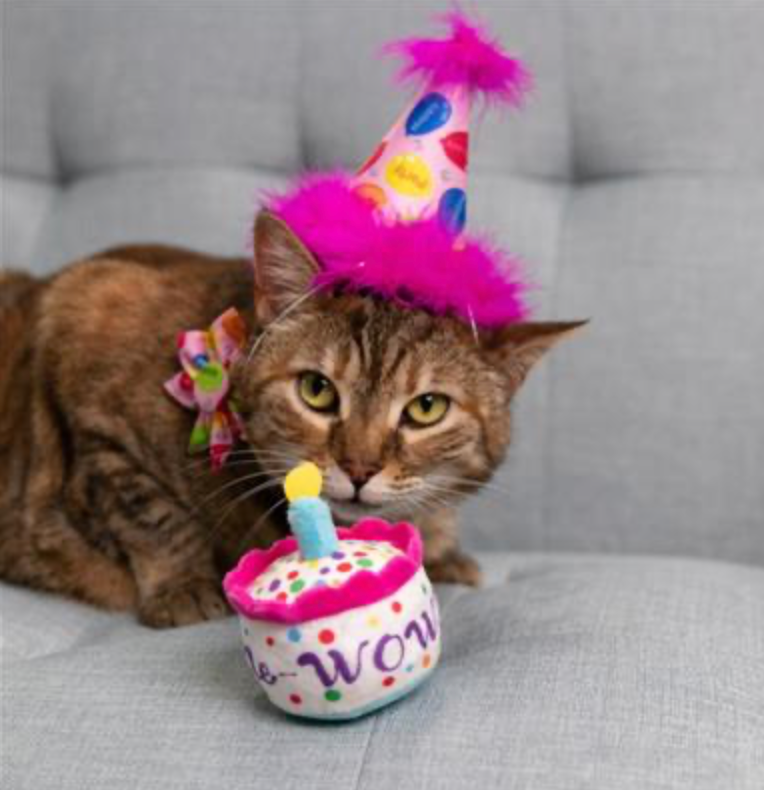 Mewow Cake Plush Toy