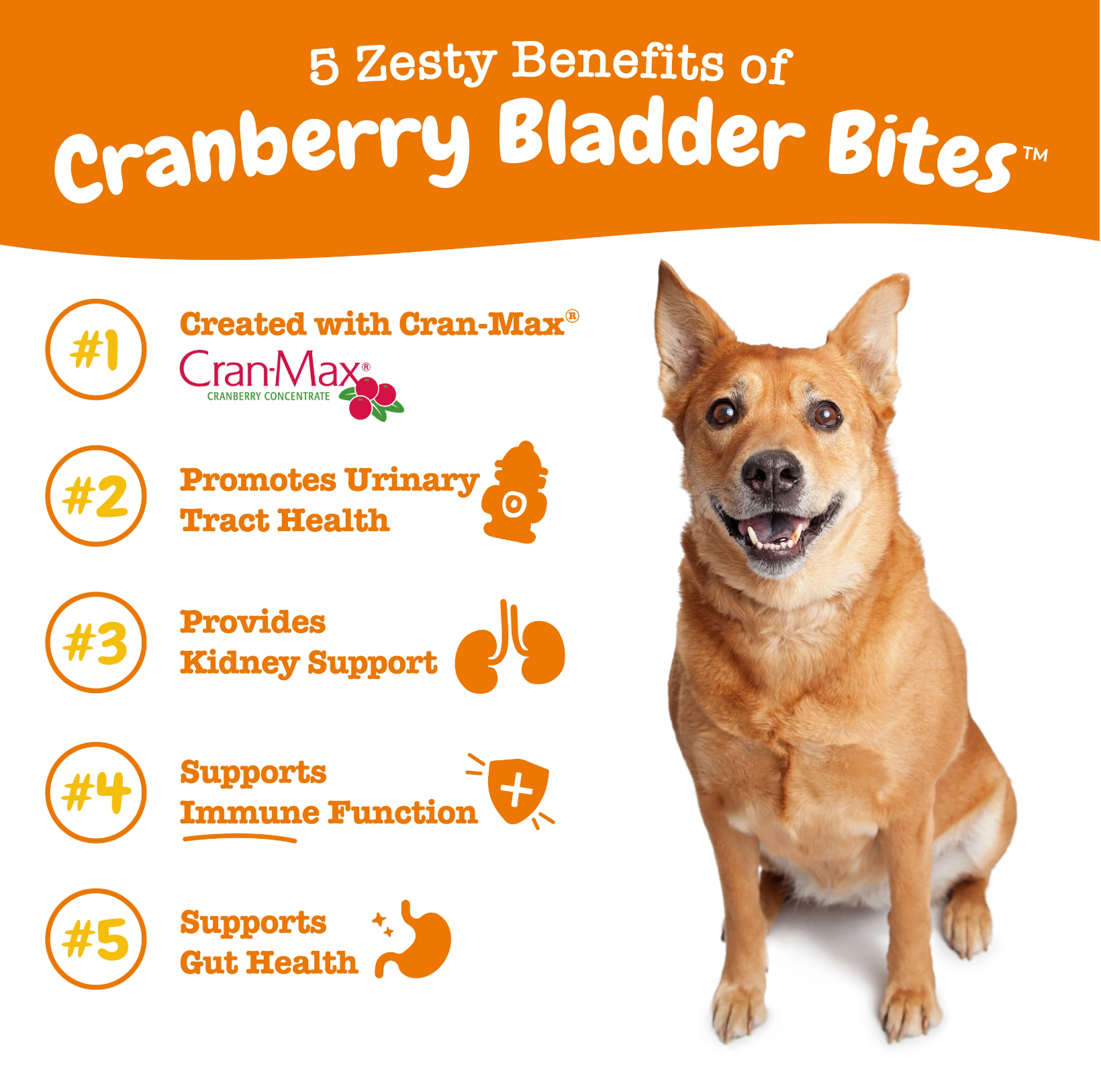Urinary Tract (UT) Bites For Dogs (90ct)