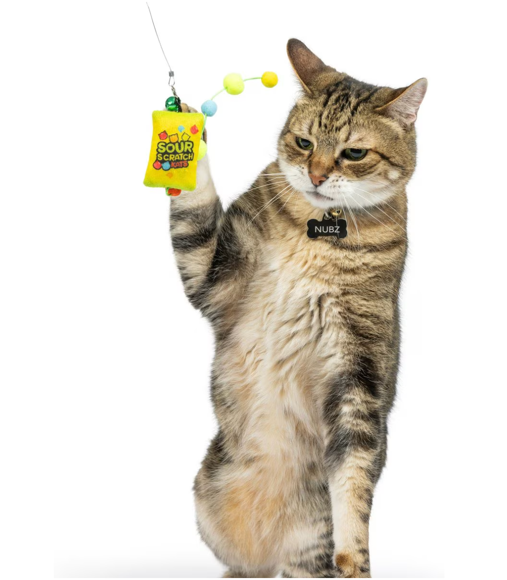 Cat Wand Teaser Sour Scratch Cat Toy