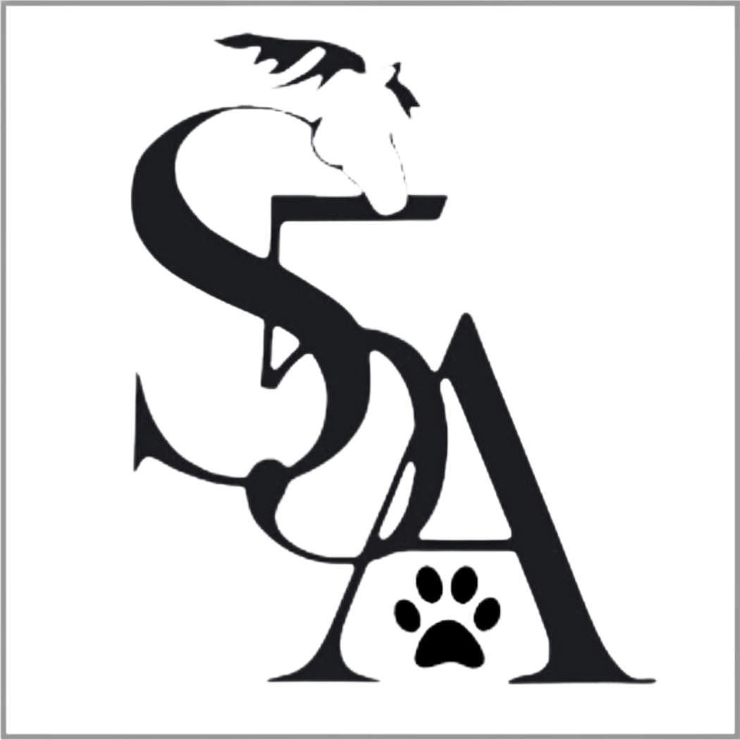 Snaks 5th Avenchew LLC logo