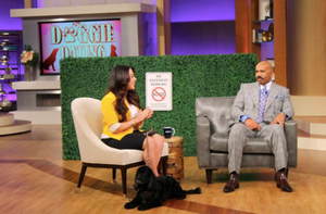 THE STEVE HARVEY SHOW