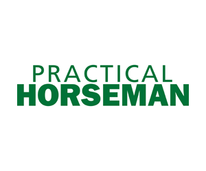 Pratical Horseman