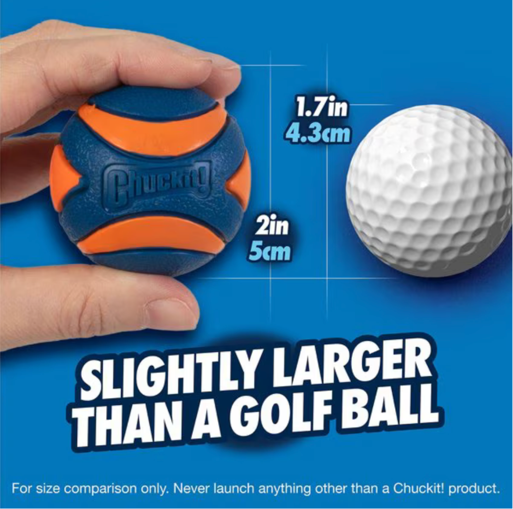 Chuckit Ultra Squeaker Balls Snaks 5th Avenchew LLC