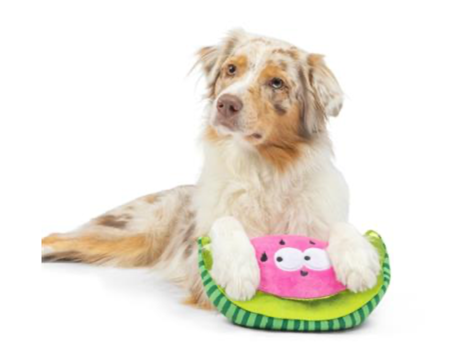 Watermelon Dog Toy