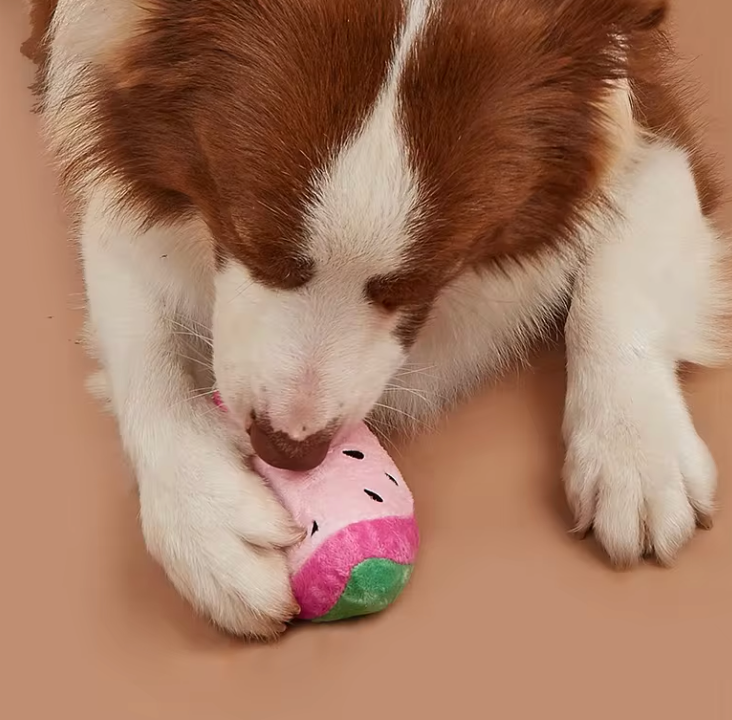 Watermelon Plush Toy