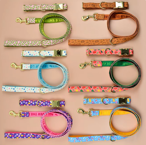 Dog Collar & Leash