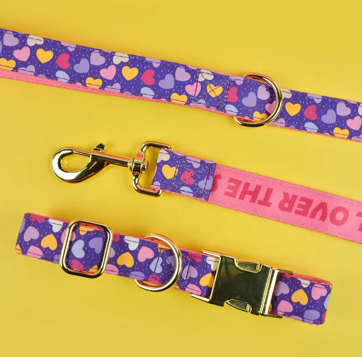 Dog Collar & Leash