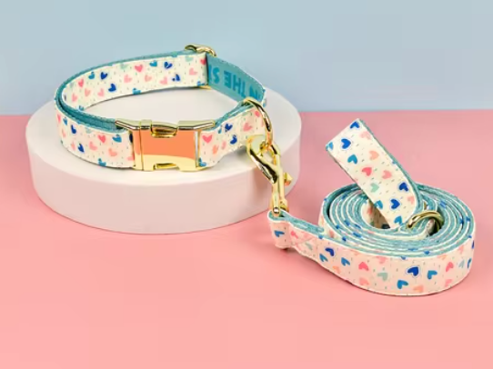 Dog Collar & Leash