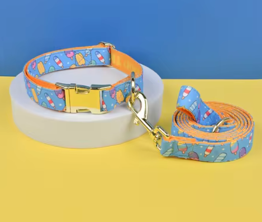 Dog Collar & Leash