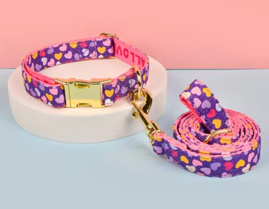 Dog Collar & Leash