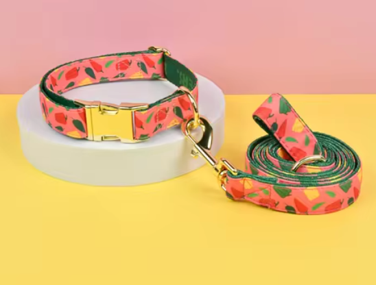 Dog Collar & Leash