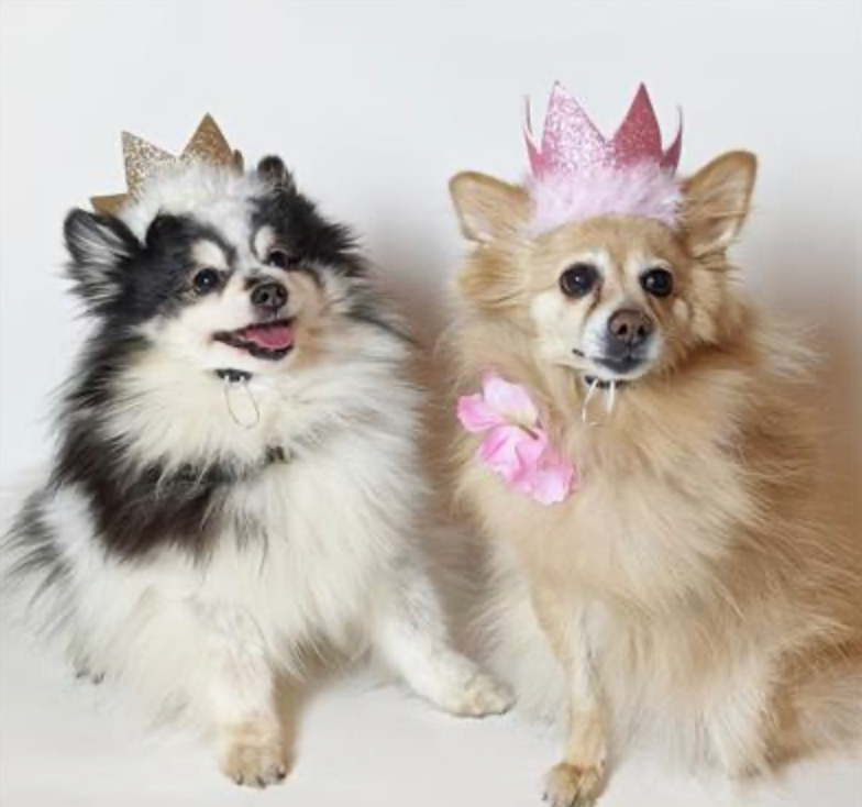 Birthday Crowns