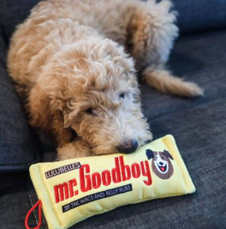 Mr.Goodboy Dog Toy