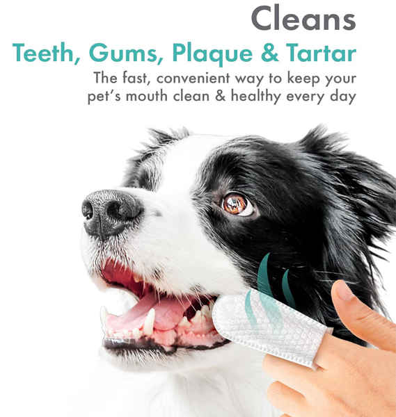 Dog Dental ToothWipes (Fresh Mint)