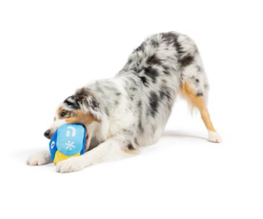 Mutt-zel Tov Dreidel Dog Toy