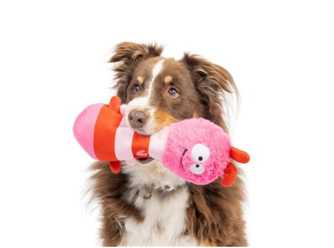 Love Bug Dog Toy