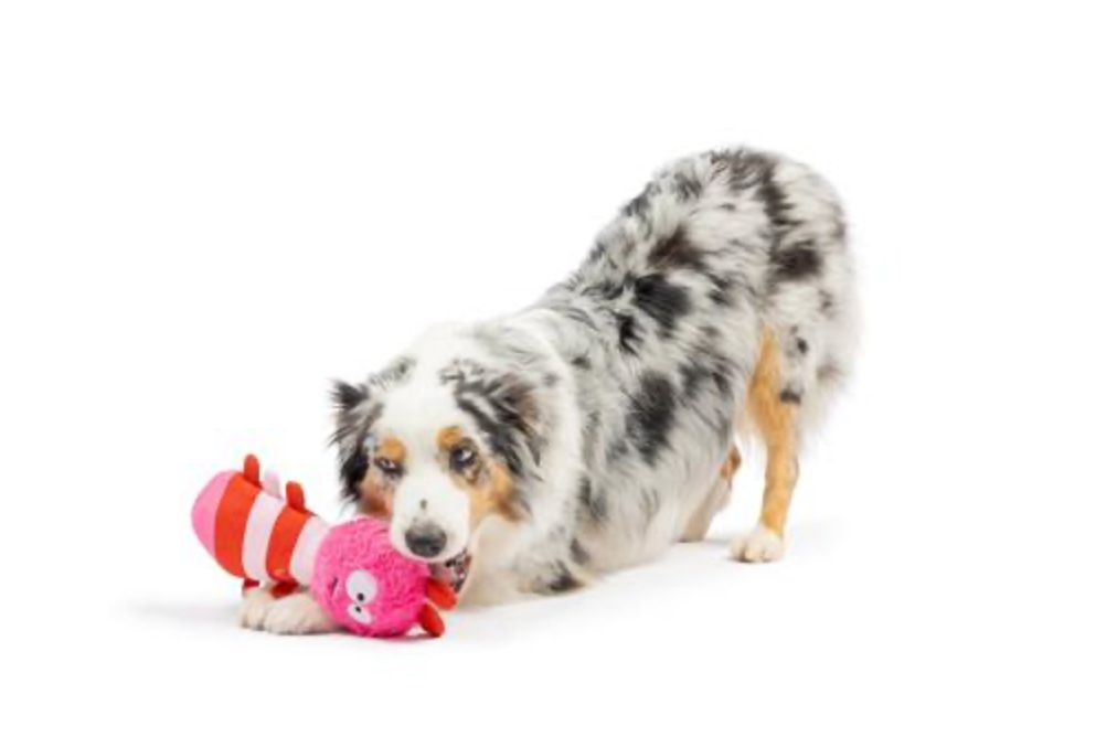 Love Bug Dog Toy