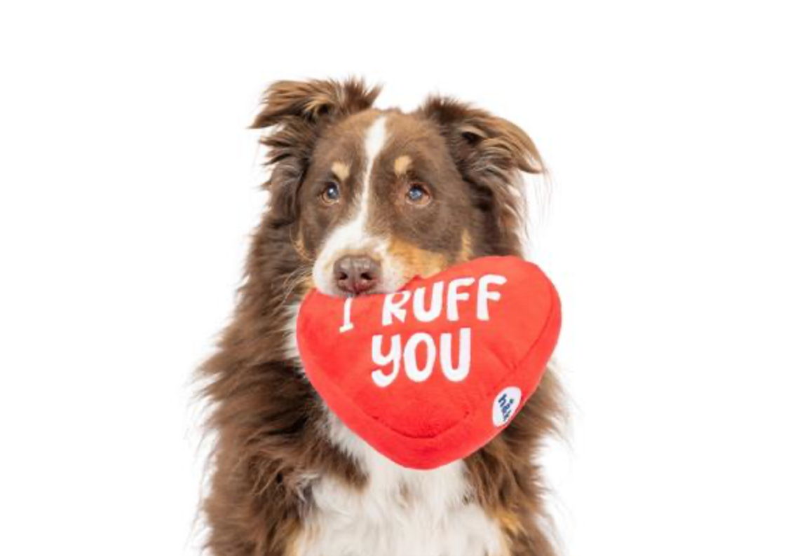 I Ruff You Dog Toy