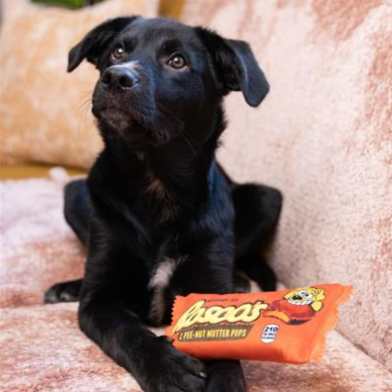 "Reese's" Peanut Mutter Dog Toy