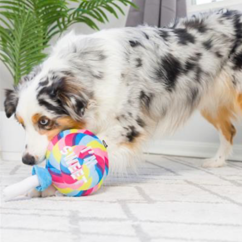 Lollipop Dog Toy