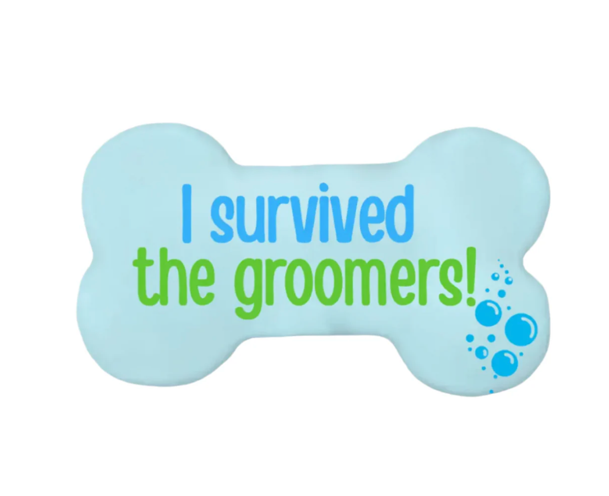I Survived The Groomers