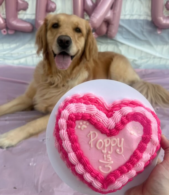 Heart Shape Birthday Cake (Dog)